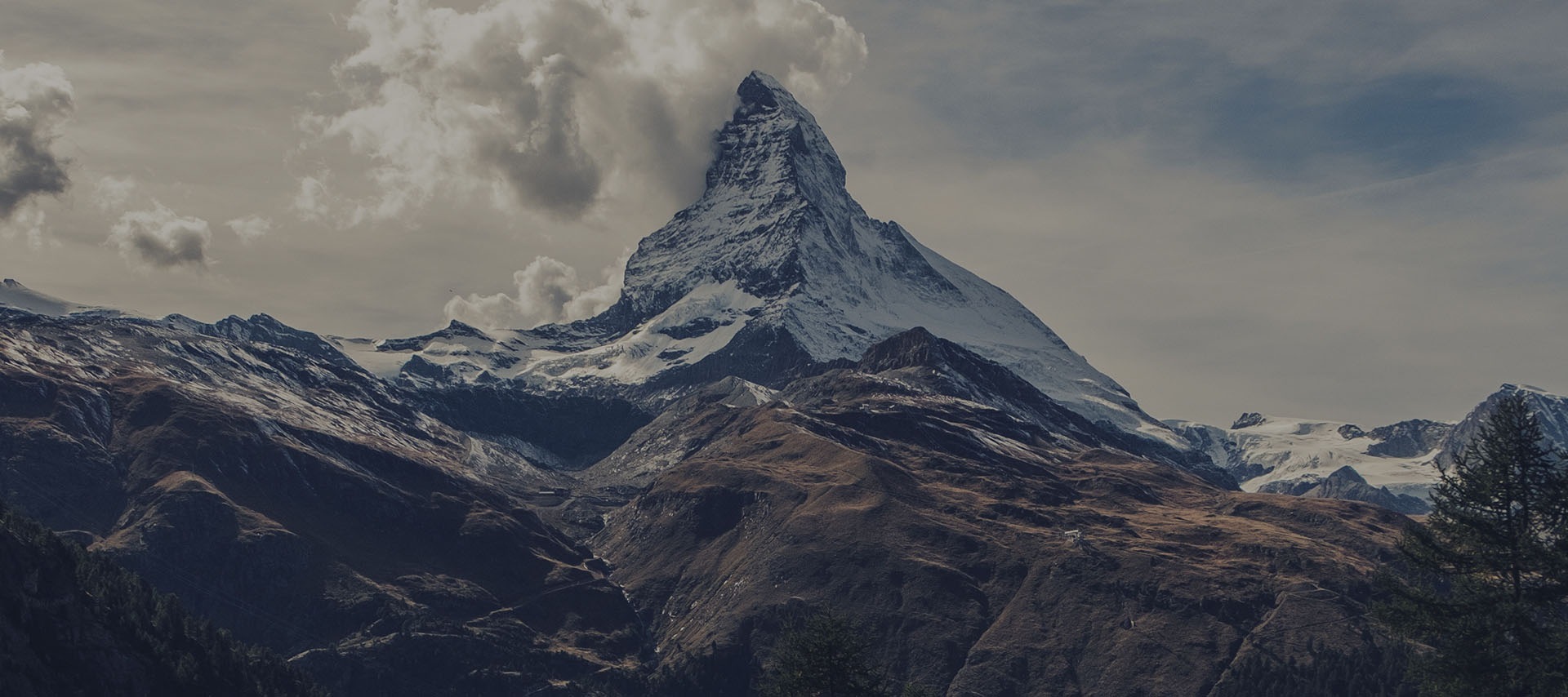 LeiSec Cyber Security